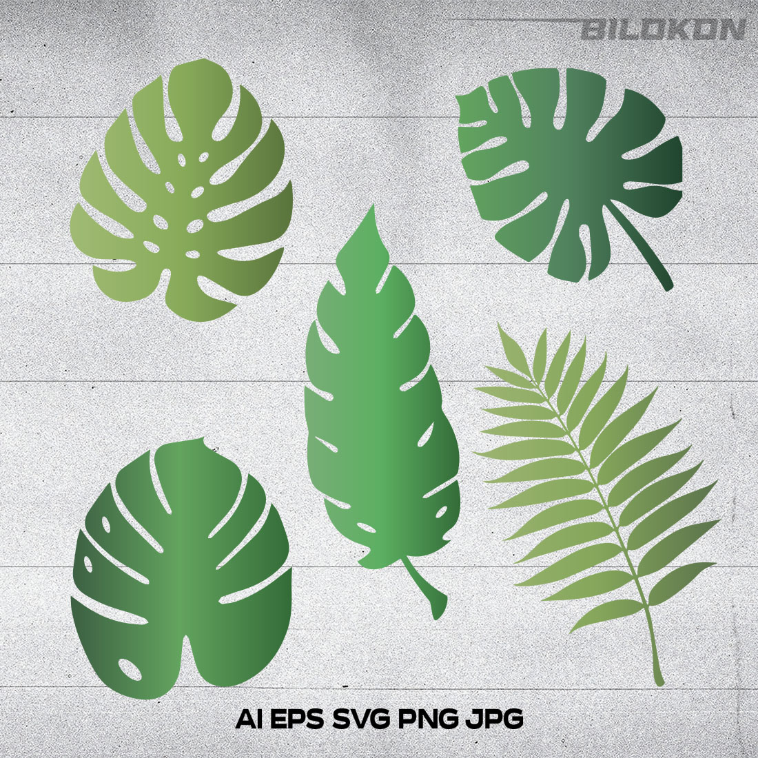Tropical Leaves, Palm Leaves, Set Leaves, SVG Vector main cover.