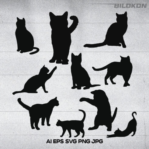 Group of cats silhouettes on a white background.