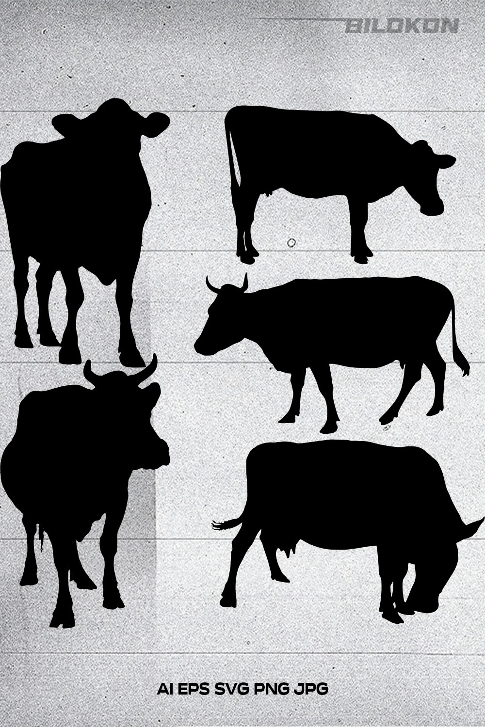 Black and white picture of cows and bulls.