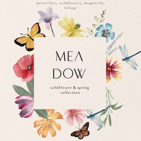 MEADOW bright wild flowers set main cover.