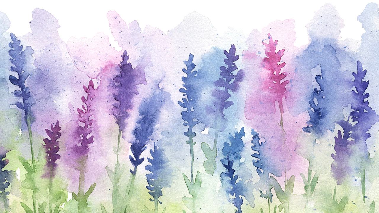 Watercolor Lavender. Collection Of Backgrounds And Illustrations.
