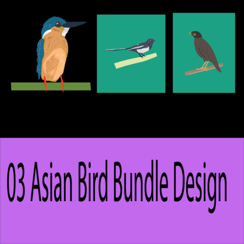 3 Asian Bird Bundle Design main cover.