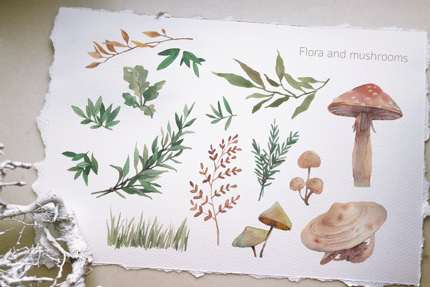 Enchanted - flora and mushrooms design preview.