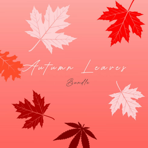 Autumn Leaves Design Bundle Vector cover image.