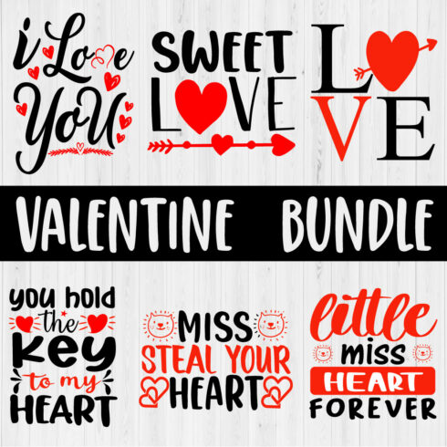 Valentine T-Shirt Design Bundle Vol.9 main cover