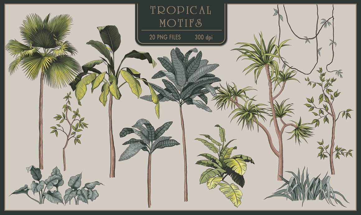 Color kit of different tropical illustrations.