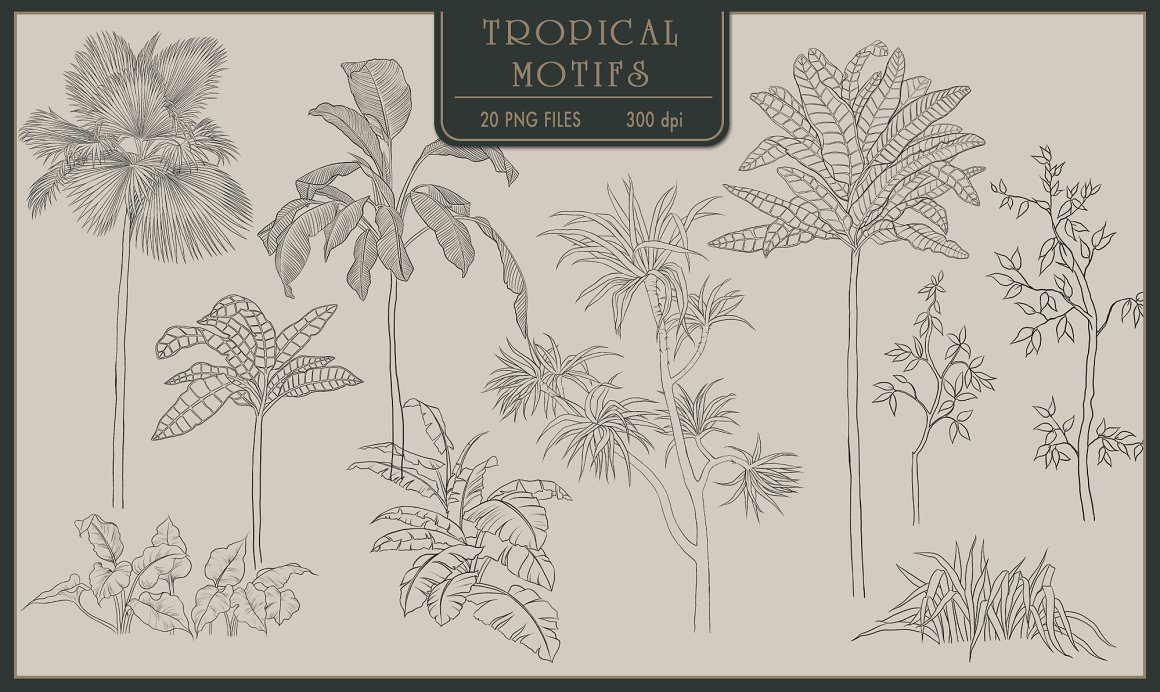A set of line drawings of tropical plants on a gray background.