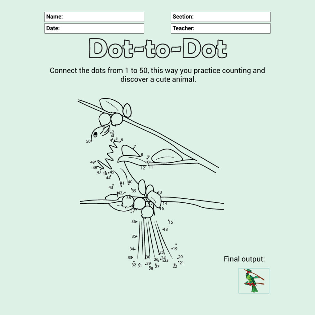 Parrot Connecting Dots MasterBundles