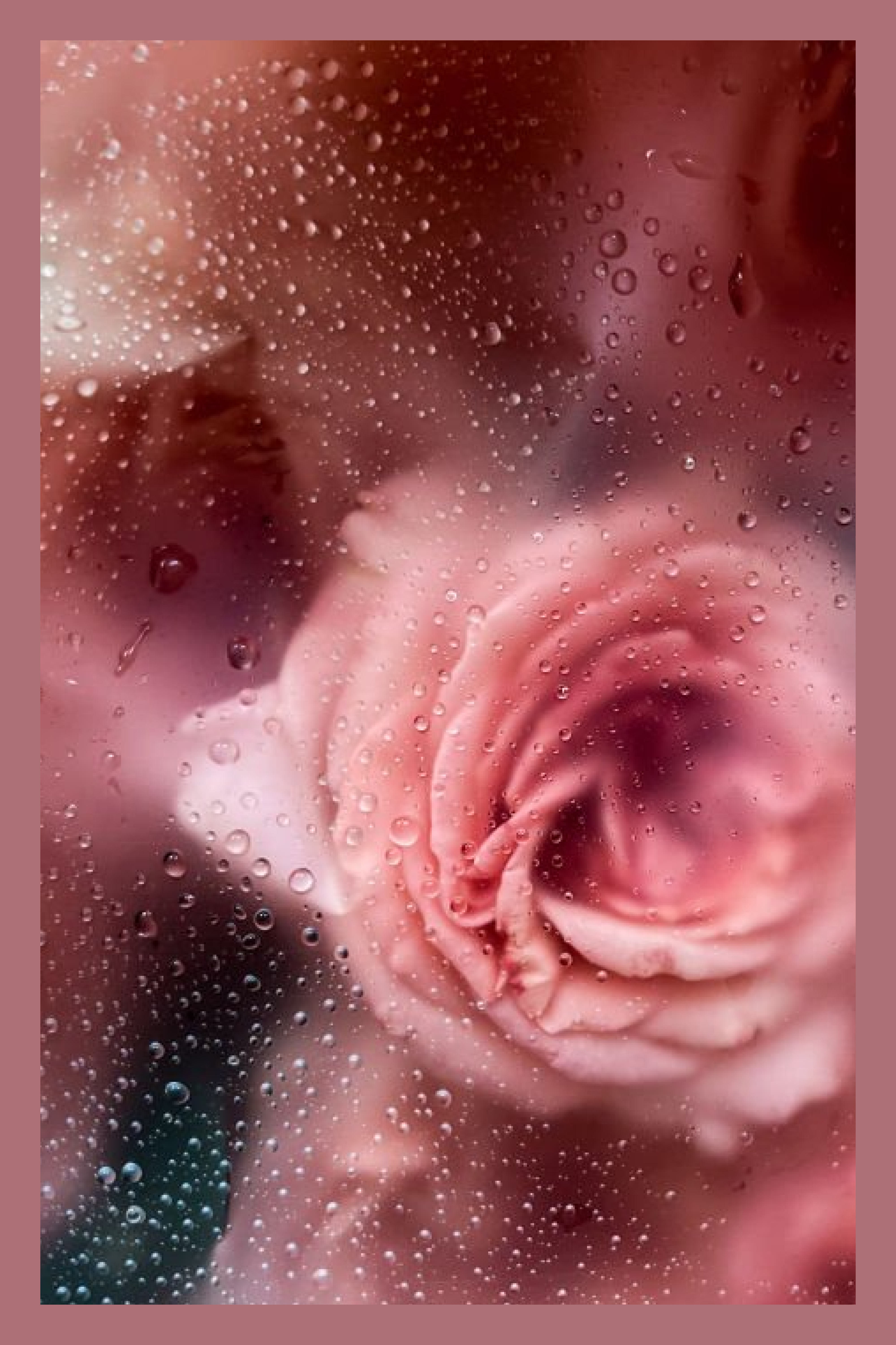 Rain drops on the glass with pink flower bouquet.