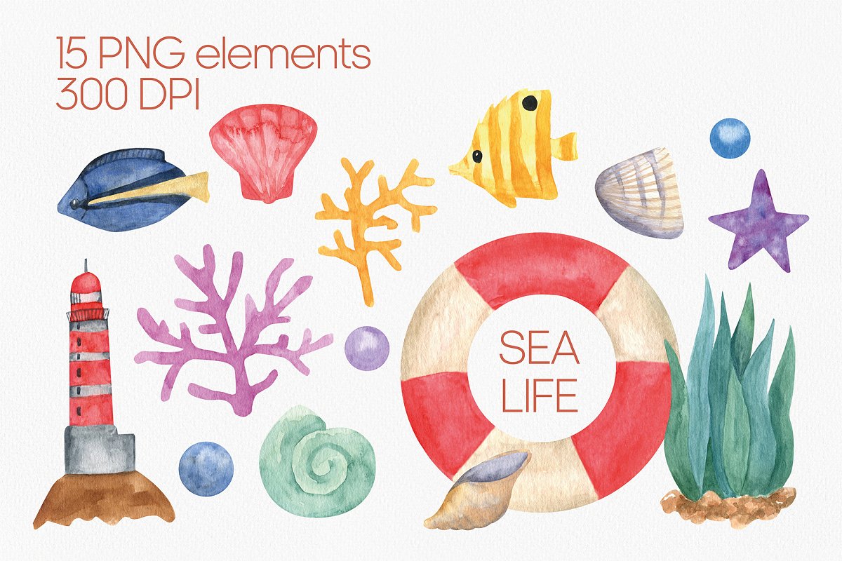 Cover image of Cute Sealife Watercolor Clipart PNG.
