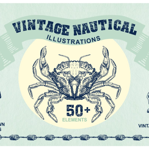 Aea nautical vintage illustrations main image preview.