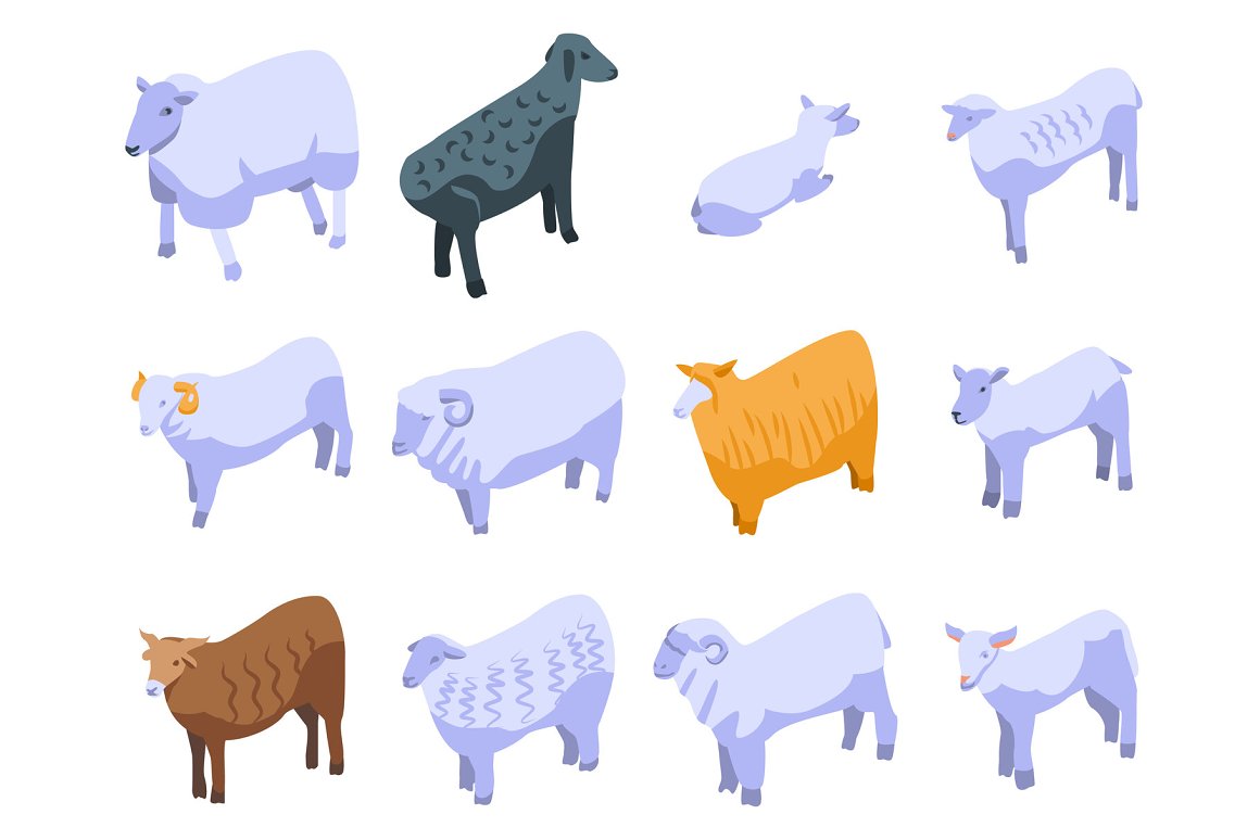 sheep icons set isometric style 445