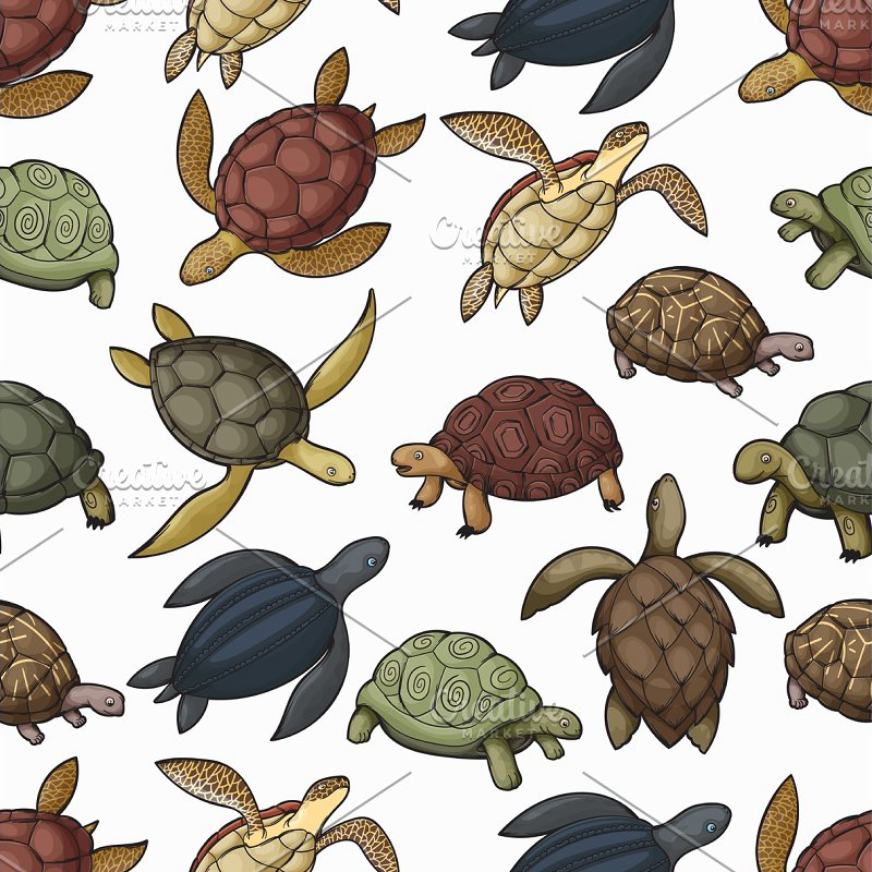 Turtle animals seamless pattern main cover.