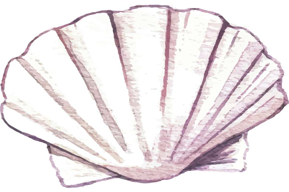 Sea Shell image preview1.