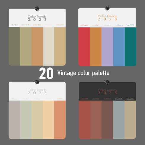 20+ Vintage Color Palette Bundle main cover.