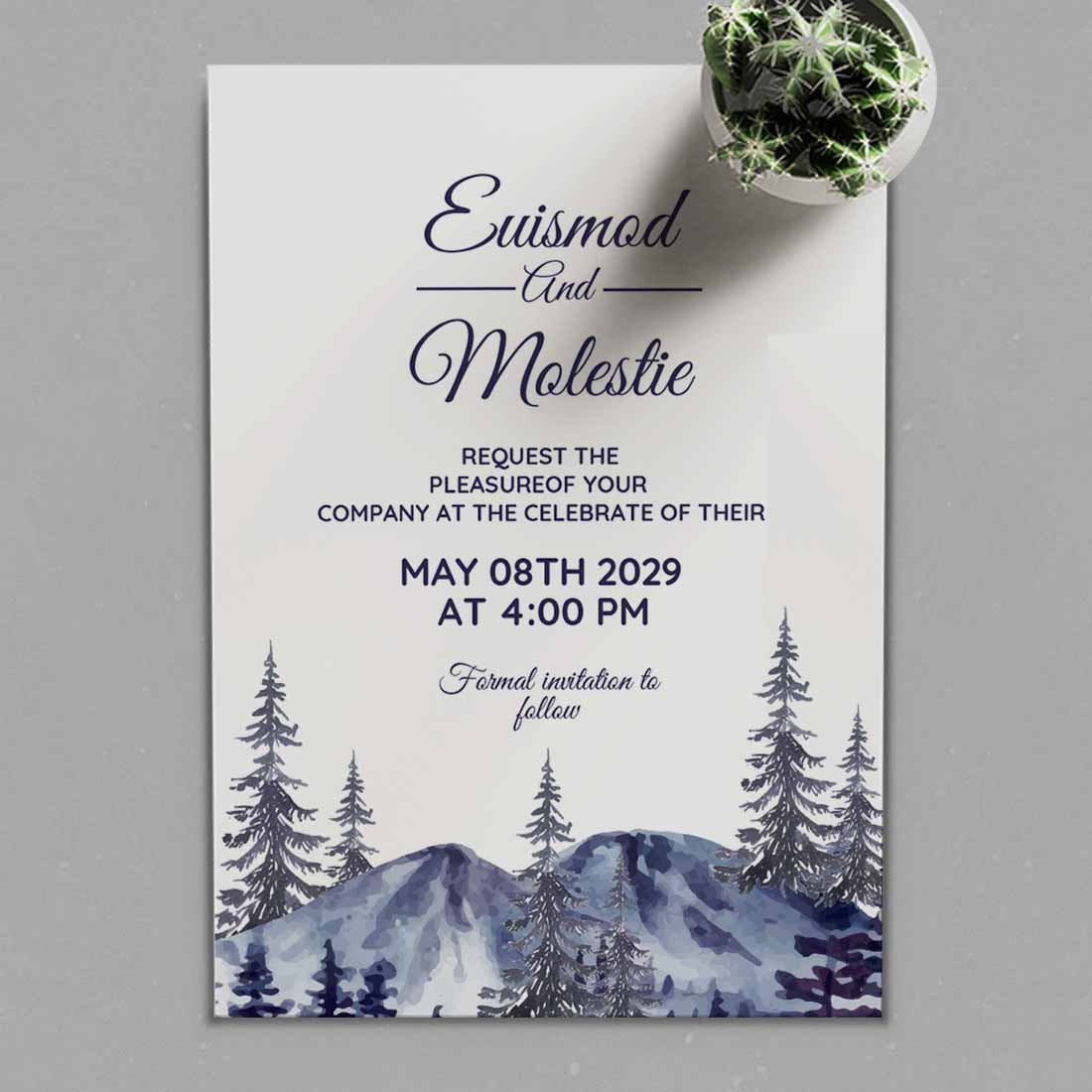 Winter Wedding Card and Icy Mountain main cover.