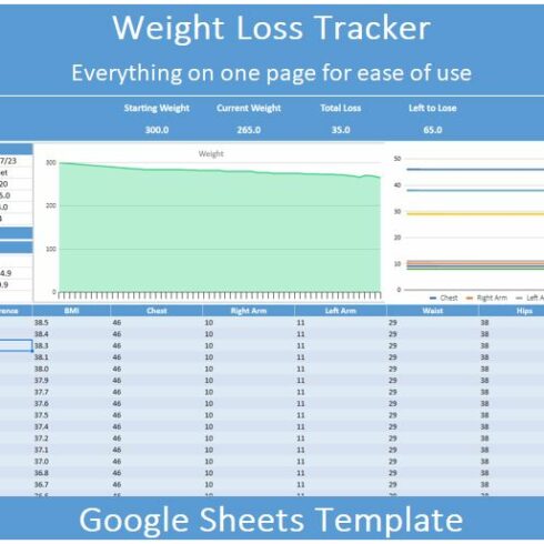 Editable Weight Loss Tracker Template for Google Sheets - MasterBundles