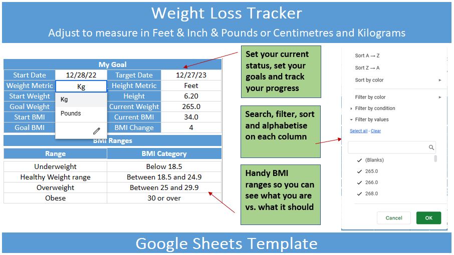 Weight Loss Tracker Editable Template for Google Sheets preview image.