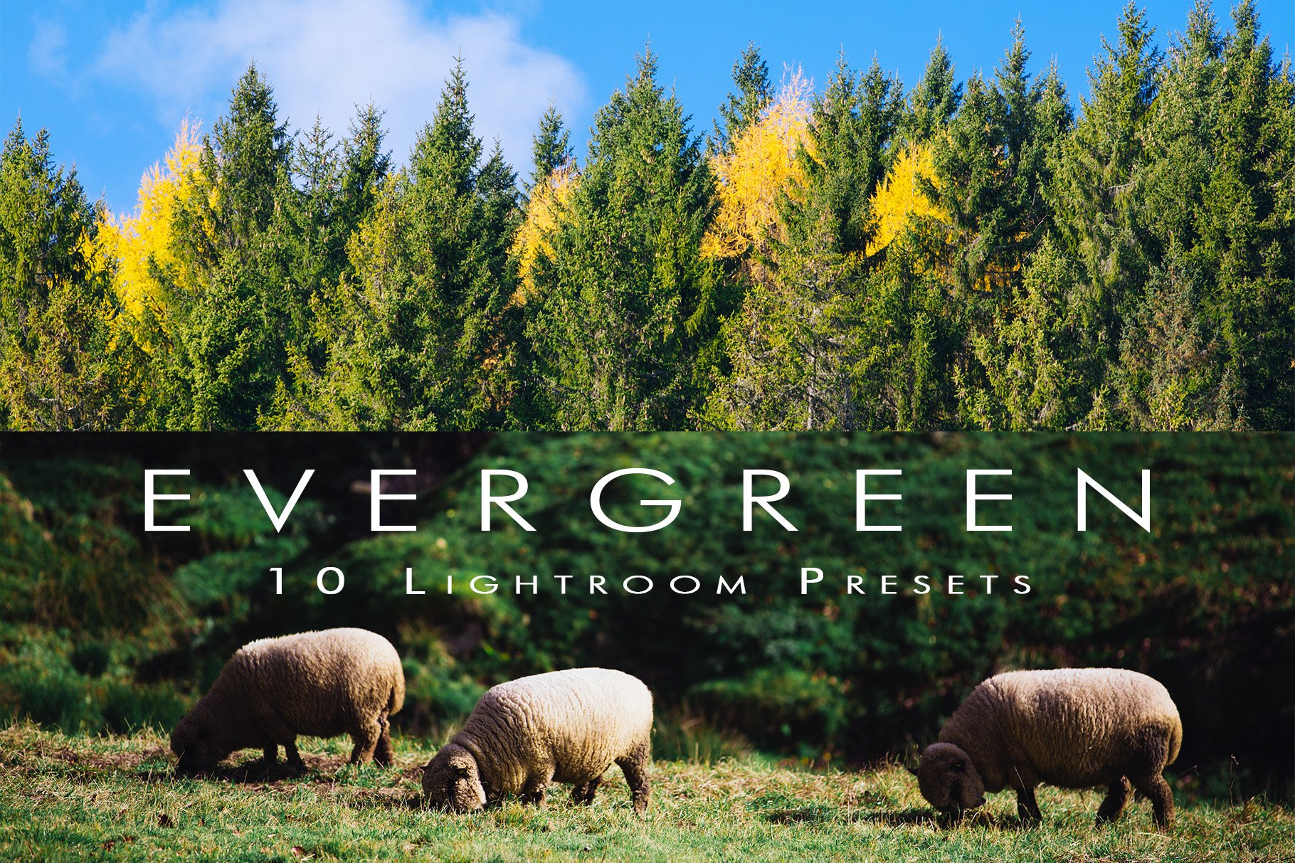 Ever Green 10 Lightroom Presets.cover image.