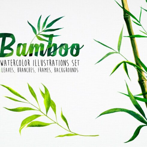 Bamboo. Watercolor illustrations. cover image.