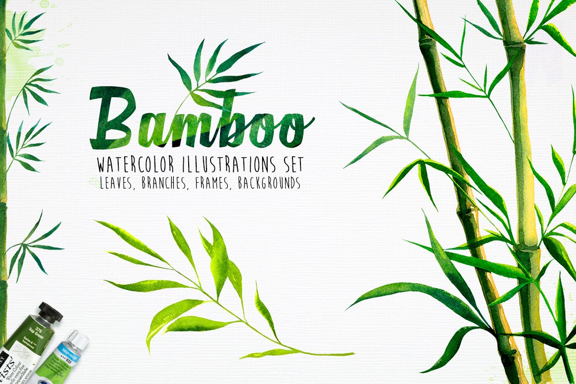 Bamboo. Watercolor illustrations. cover image.