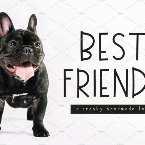 Best Friends Handmade Font cover image.