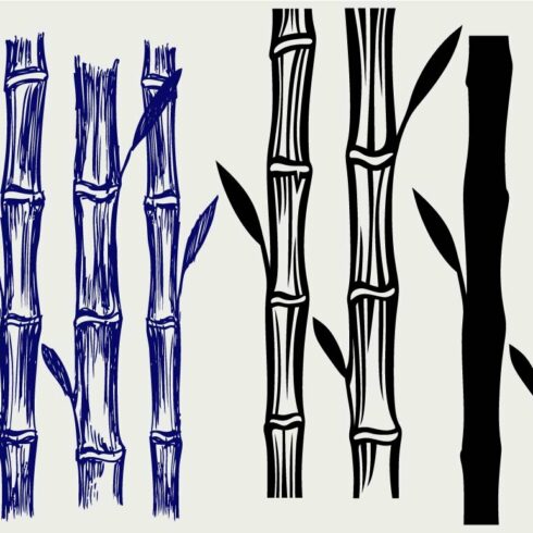 Drawing of a bamboo tree and another drawing of a bamboo tree.