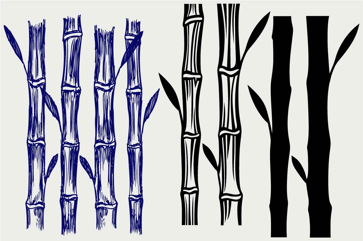 bamboo stick drawing