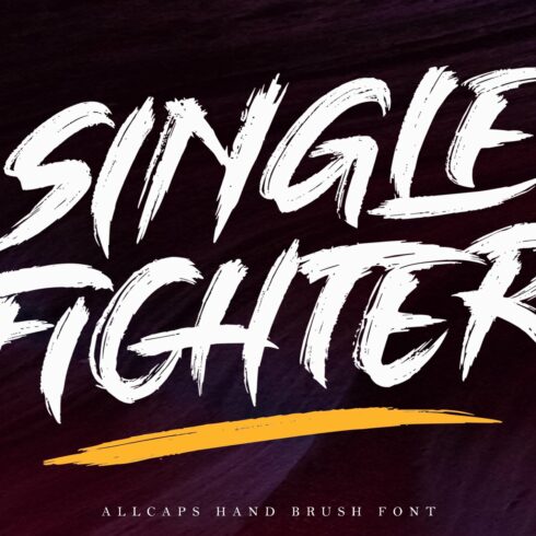 SALE! SINGLE FIGHTER / Brush Font cover image.