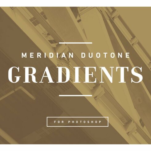 MERIDIAN Duotone Gradientscover image.
