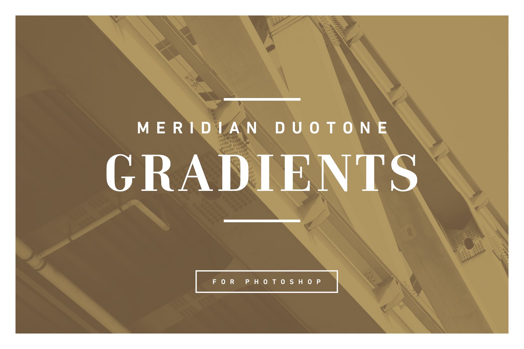 MERIDIAN Duotone Gradientscover image.