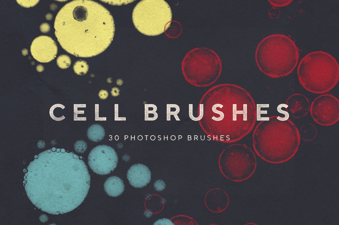 Cell Photoshop Brushescover image.