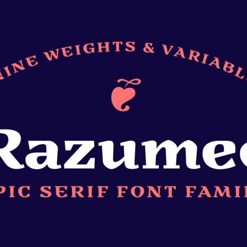 Razumec Font Family (Intro -60%)cover image.