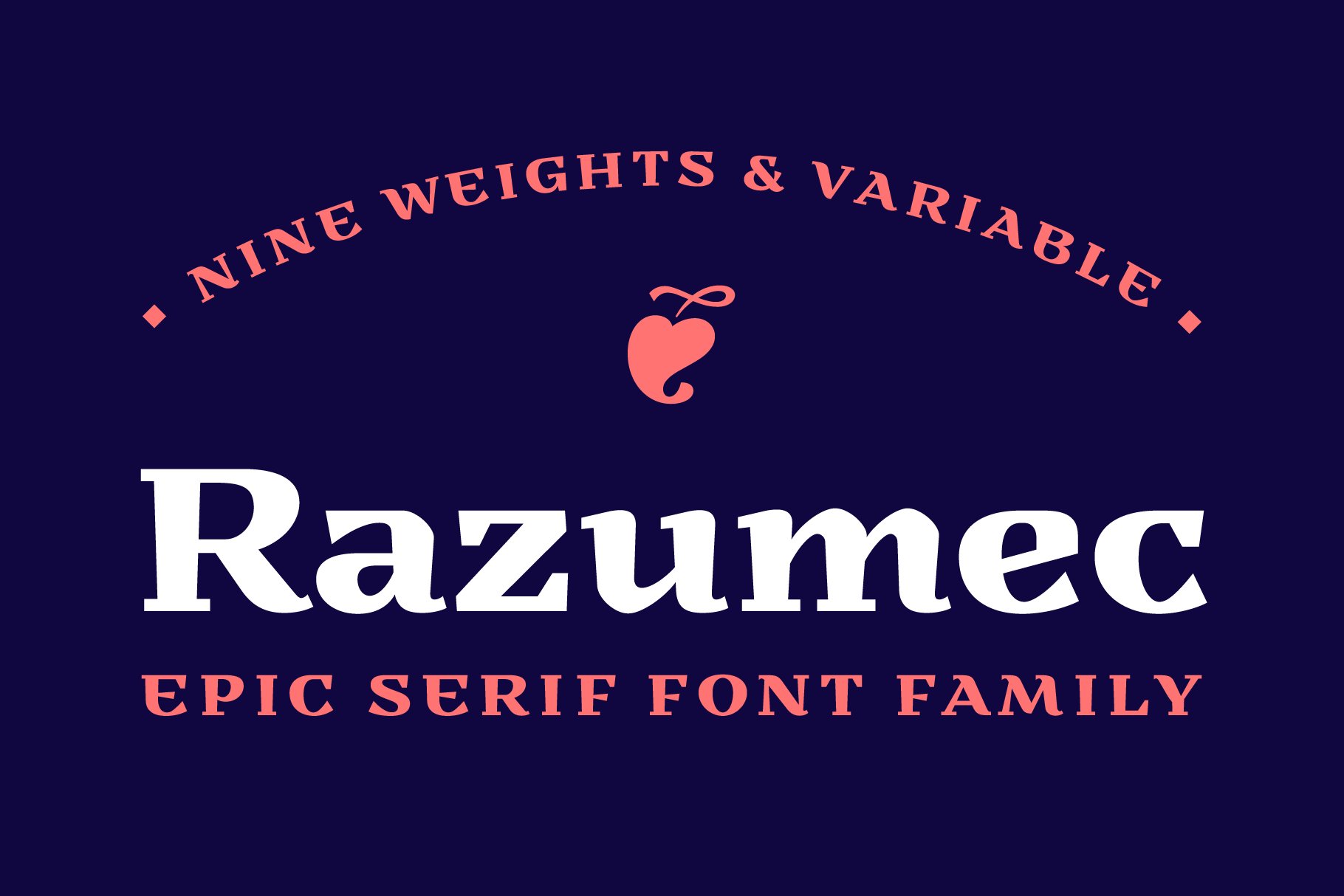 Razumec Font Family (Intro -60%)cover image.