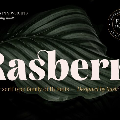 Rasbern — 18 Fonts cover image.