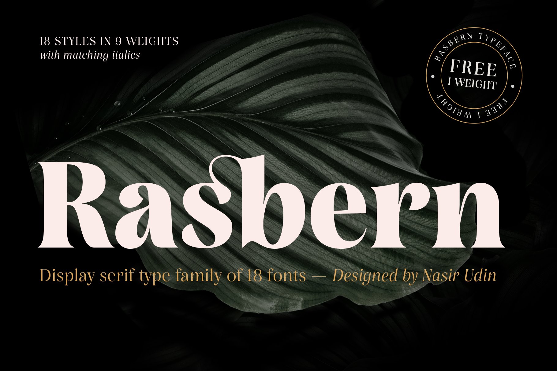 Rasbern — 18 Fonts cover image.