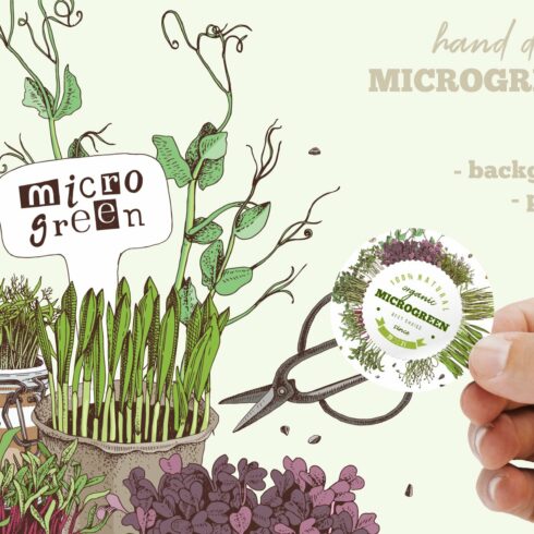 Hand drawn microgreen set cover image.