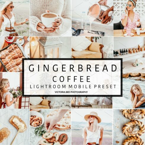 5 Mobile Presets GINGERBREADcover image.