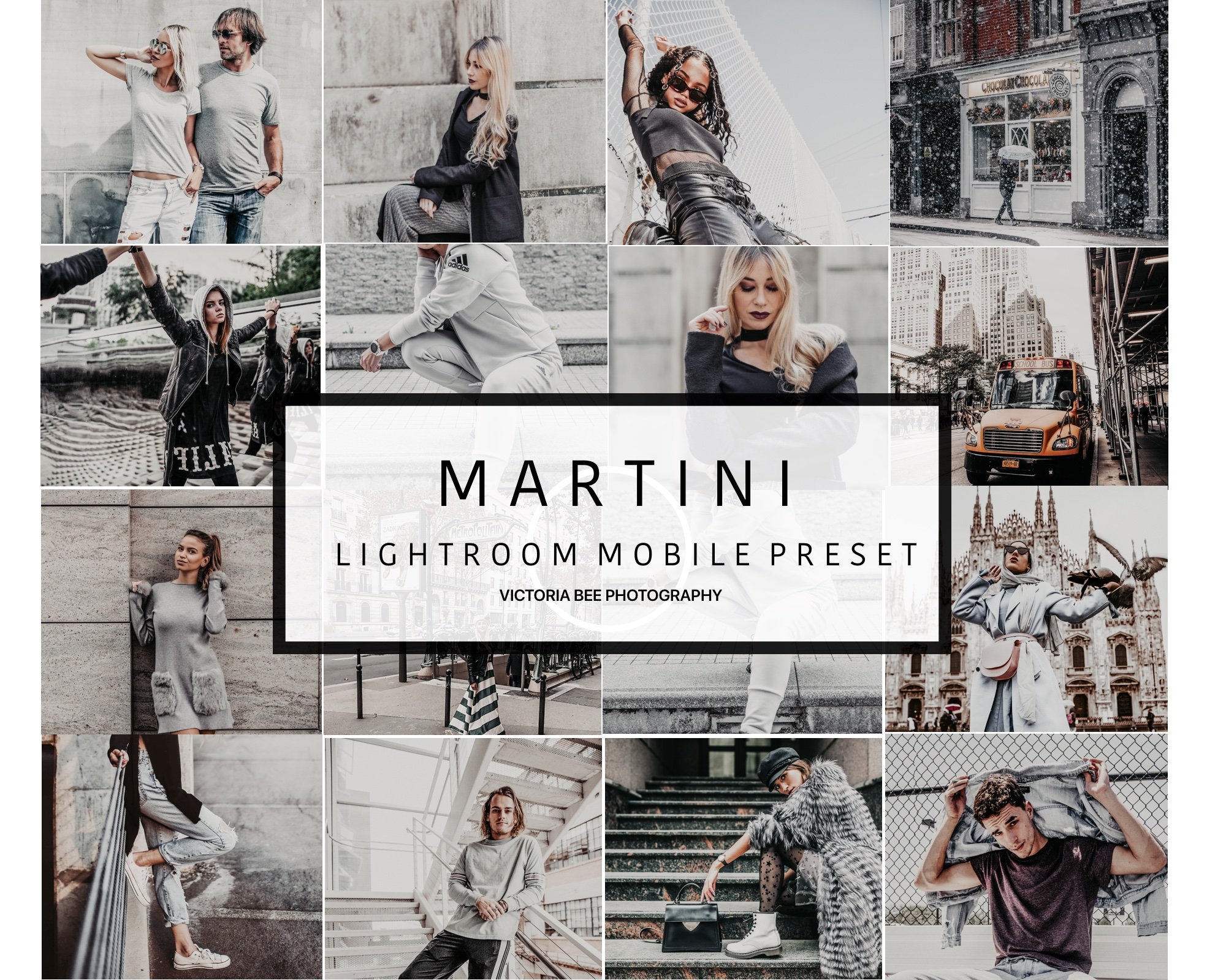 5 Mobile Lightroom Preset MARTINIcover image.