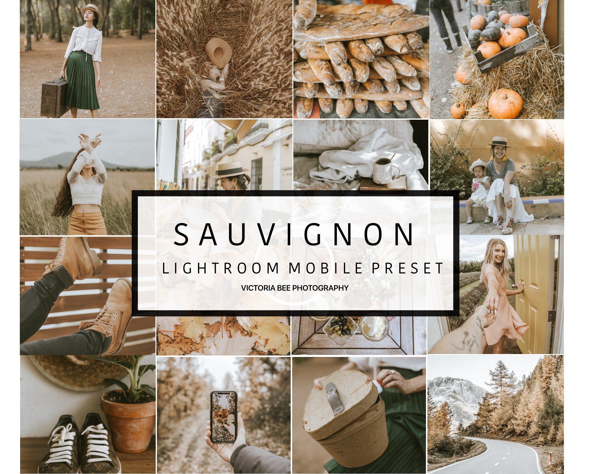 Mobile Lightroom Preset SAUVIGNONcover image.