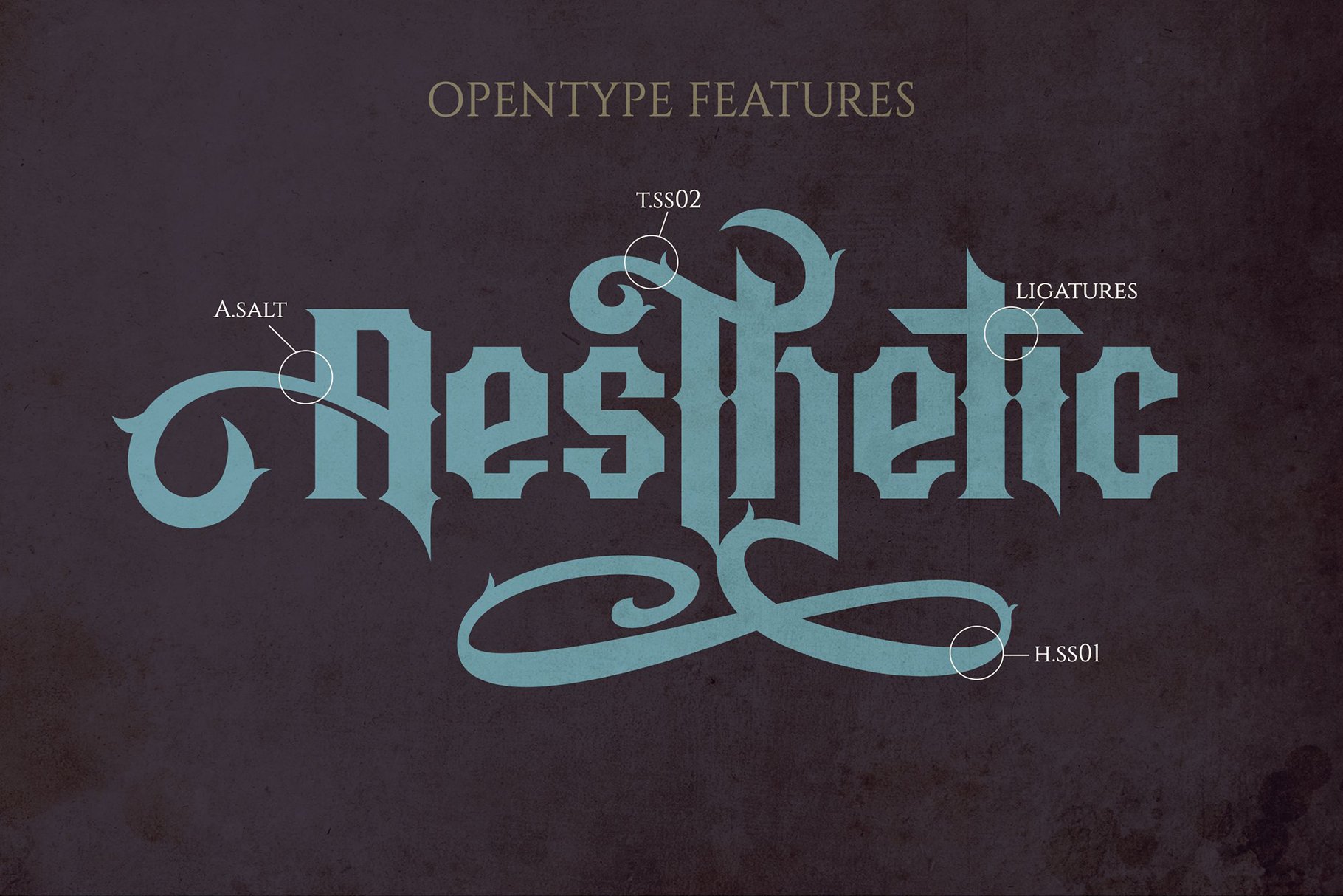 Aesthetic - Vintage Font preview image.