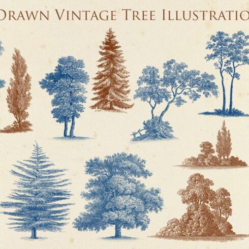 Hand Drawn Vintage Tree Set 1 cover image.