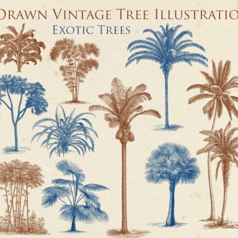 Hand Drawn Vintage Exotic Tree Set cover image.