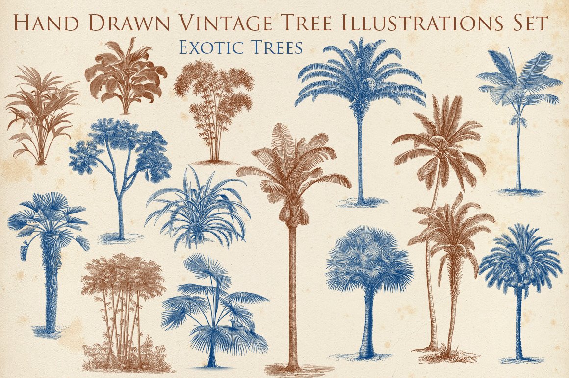 Hand Drawn Vintage Exotic Tree Set cover image.