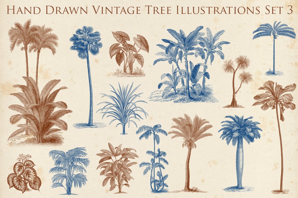 Hand Drawn Vintage Exotic Tree Set 2 cover image.