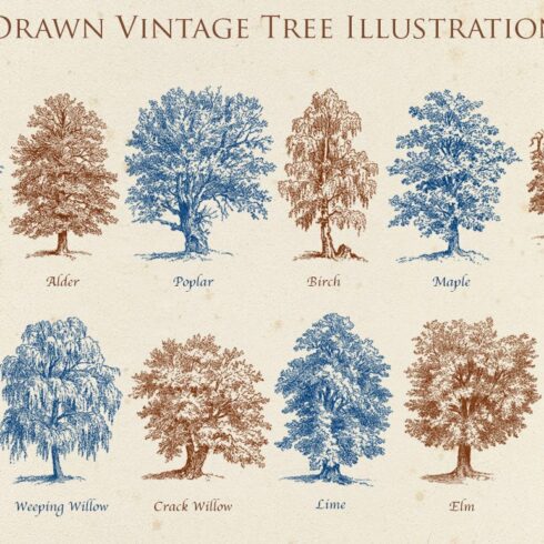 Hand Drawn Vintage Tree Set 2 cover image.