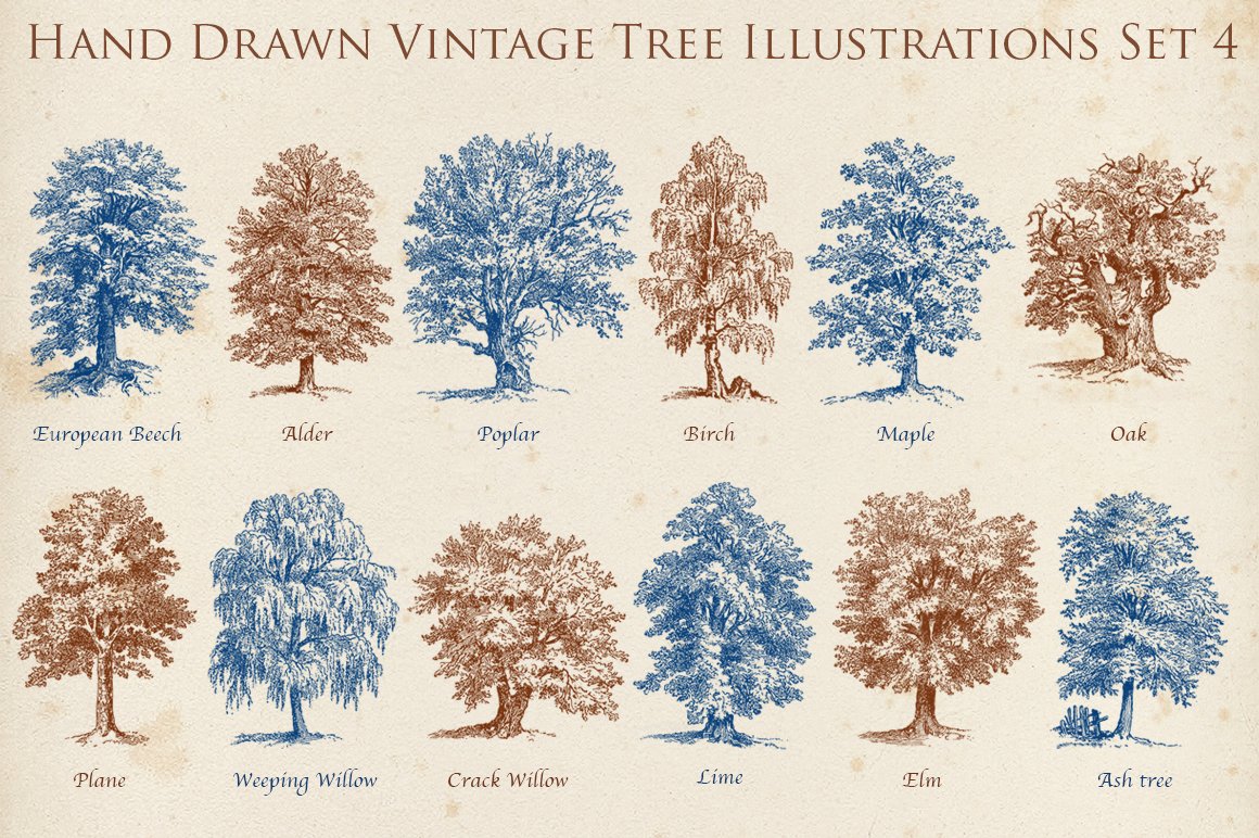 Hand Drawn Vintage Tree Set 2 cover image.
