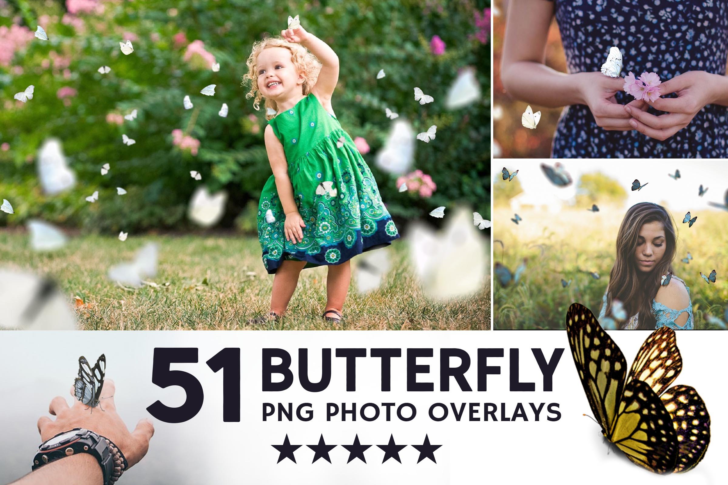 009. butterflies 511