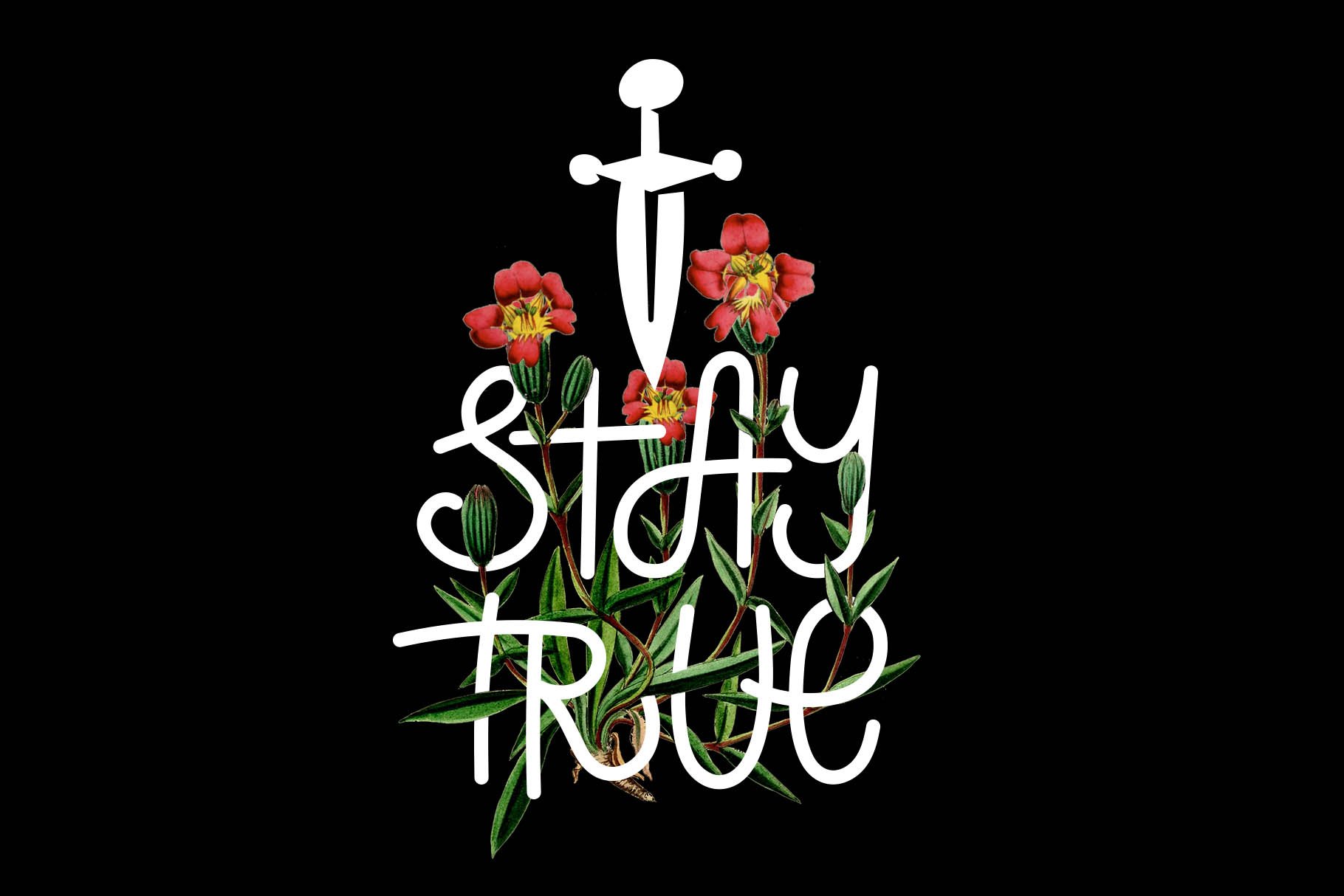 Stay True font cover image.