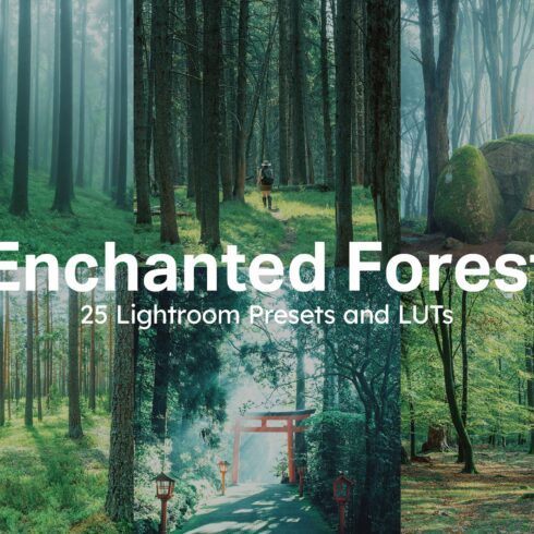 25 Enchanted Forest Lightroom Presetcover image.